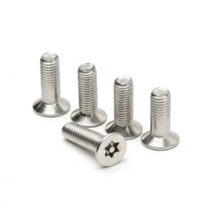 Countersunk Torx Screw