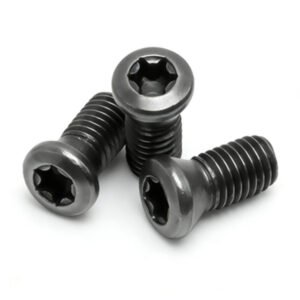Round head internal Torx screw