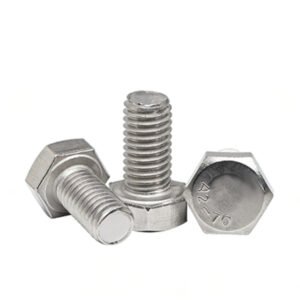 Stainless Steel Hex Bolt