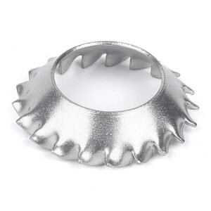 External Tooth Lock Washer