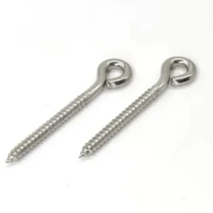 Stainless Steel Eye Bolt