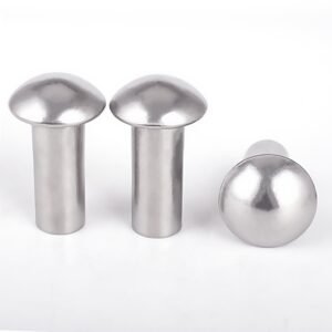 Round Head Solid Rivet