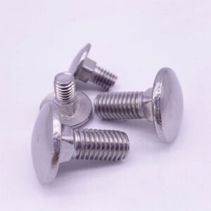DIN 603 Stainless Steel Carriage Bolts | Coach Bolts | Mushroom Head Square Neck Bolts for Wood & Metal Applications